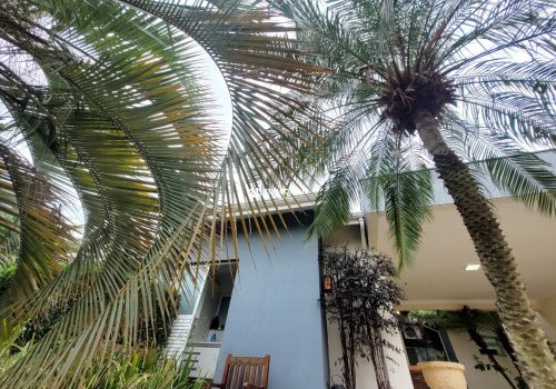 Casa em Condomínio com 175m², 3 quartos no bairro Jardim Residencial Terra Nobre em Indaiatuba
