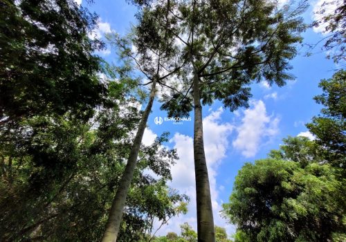 Sítio com 400m², 4 quartos no bairro Parque da Grama em Indaiatuba
