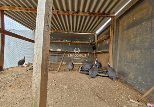 Casa em Condomínio com 188m², 3 quartos no bairro Jardim Piemonte em Indaiatuba