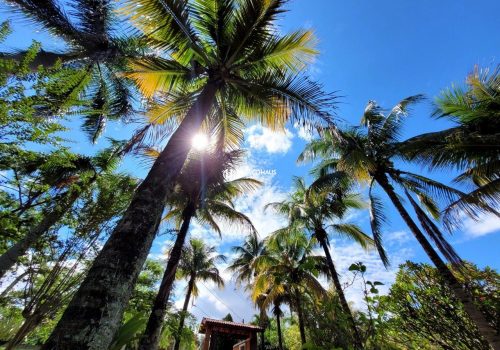 Chácara em Condomínio com 350m², 3 quartos no bairro Lagos de Shanadu em Indaiatuba