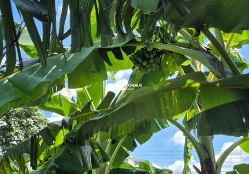 Chácara em Condomínio com 307m², 3 quartos no bairro Terras de Itaici em Indaiatuba