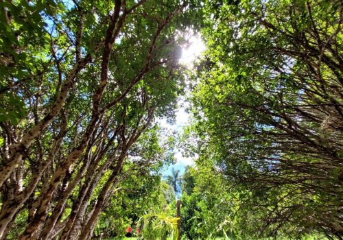 Chácara em Condomínio com 350m², 3 quartos no bairro Lagos de Shanadu em Indaiatuba