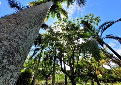 Chácara em Condomínio com 350m², 3 quartos no bairro Lagos de Shanadu em Indaiatuba