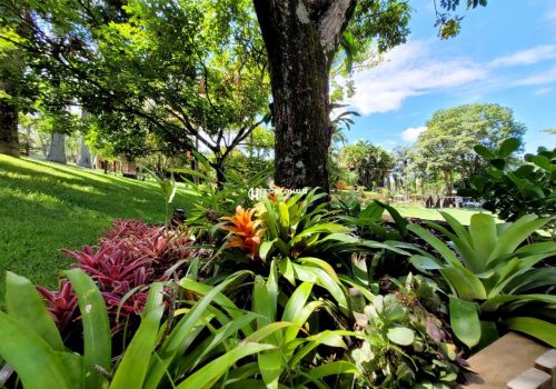 Chácara em Condomínio com 350m², 3 quartos no bairro Lagos de Shanadu em Indaiatuba