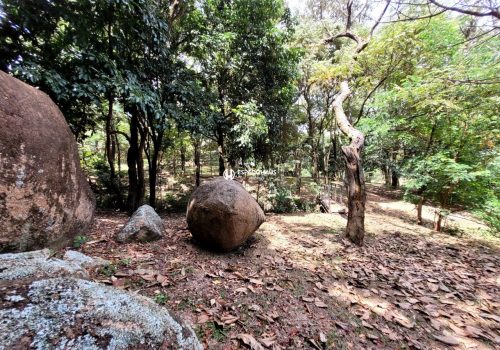 Sítio com 400m², 4 quartos no bairro Parque da Grama em Indaiatuba