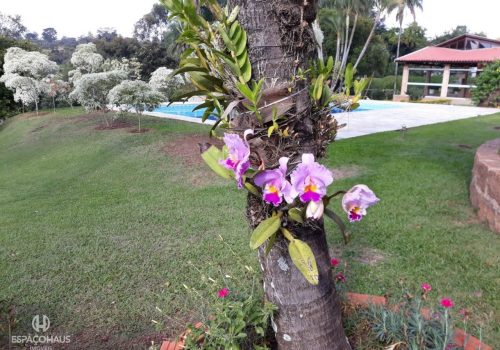 Chácara em Condomínio com 1.050m², 5 quartos no bairro Recanto dos Pássaros em Indaiatuba