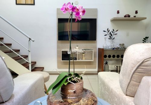 Casa com 137m², 3 quartos no bairro Jardim Primavera em Indaiatuba