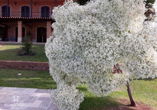 Chácara em Condomínio com 1.050m², 5 quartos no bairro Recanto dos Pássaros em Indaiatuba