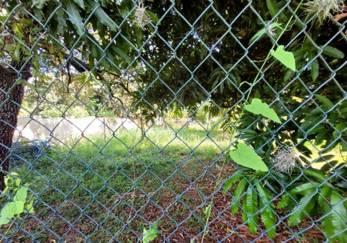 Terreno em Condomínio com 1.000m² no bairro Terras de Itaici em Indaiatuba