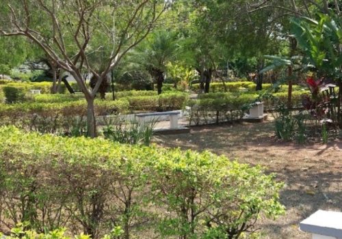 Residencial Village Azaleia