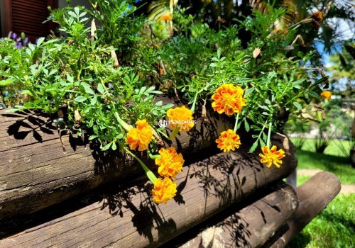 Chácara em Condomínio com 350m², 3 quartos no bairro Lagos de Shanadu em Indaiatuba