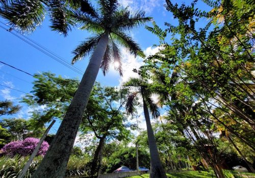Chácara em Condomínio com 350m², 3 quartos no bairro Lagos de Shanadu em Indaiatuba