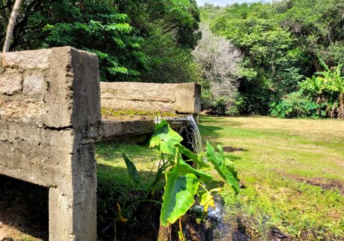 Sítio com 400m², 4 quartos no bairro Parque da Grama em Indaiatuba
