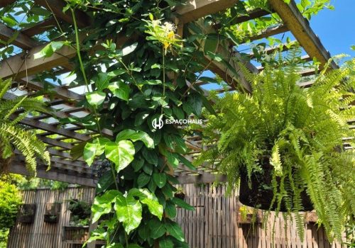 Chácara em Condomínio com 307m², 3 quartos no bairro Terras de Itaici em Indaiatuba